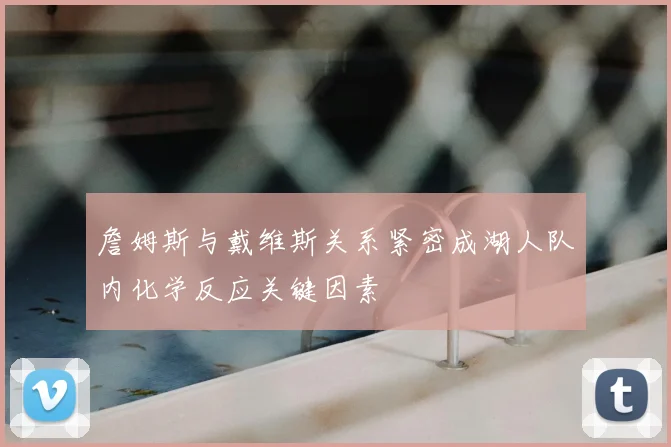 詹姆斯与戴维斯关系紧密成湖人队内化学反应关键因素