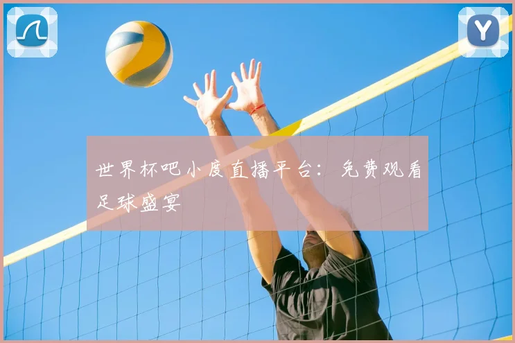 世界杯吧小度直播平台：免费观看足球盛宴