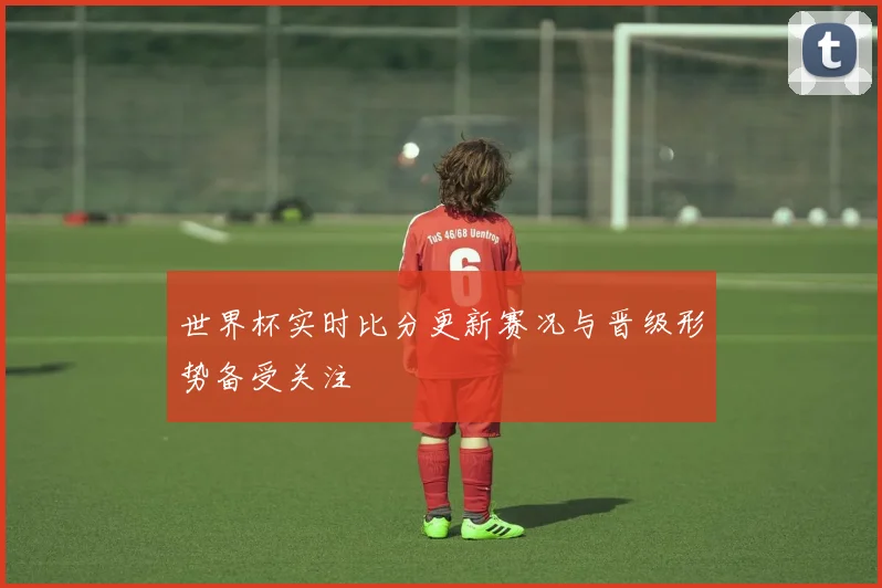 世界杯实时比分更新赛况与晋级形势备受关注
