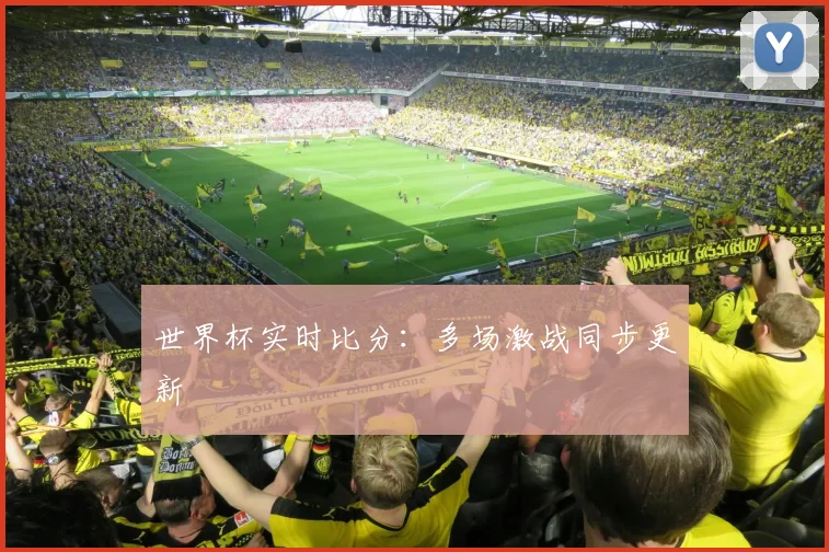 世界杯实时比分：多场激战同步更新