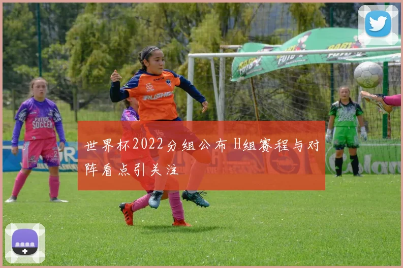 世界杯2022分组公布 H组赛程与对阵看点引关注