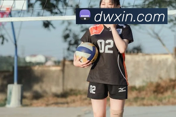 买球官方APP 体育赛事宣传图